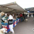 IMG_782750