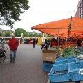 IMG_782753