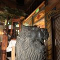 IMG_782784
