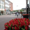IMG_782797