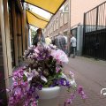 IMG_782802
