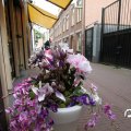 IMG_782803