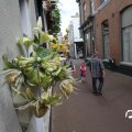 IMG_782804
