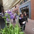 IMG_782810