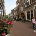 IMG_782812