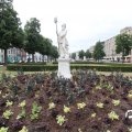 IMG_782842