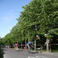 IMG_783857