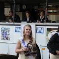IMG_784159