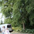 IMG_784230