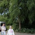 IMG_784231