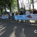 IMG_784253