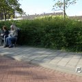 IMG_784279