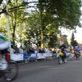 IMG_784366