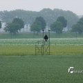 02901F2011
