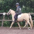 02981F2011