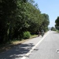 IMG_785291