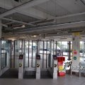 DSC0736