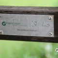 IMG_794329