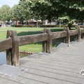 IMG_794331