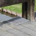 IMG_794335