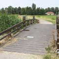 IMG_794337