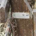 IMG_794338