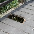 IMG_794339