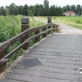 IMG_794341