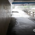 IMG_794446