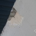 IMG_794447