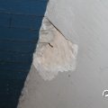 IMG_794448