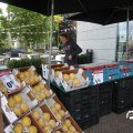 IMG_793395