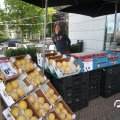 IMG_793396