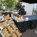 IMG_793398