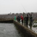 IMG_794673