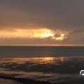 IMG_794704
