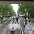 IMG_794502