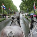IMG_794503