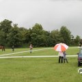 IMG_794942