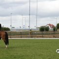 IMG_794957