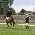 IMG_794967