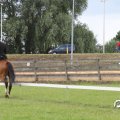 IMG_794968