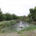 IMG_795068
