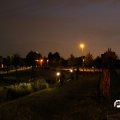 IMG_796965