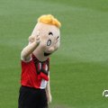 IMG_797367