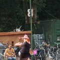 IMG_798421