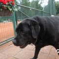 IMG_798686