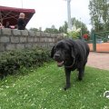 IMG_798689
