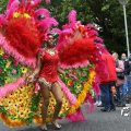 IMG_0334