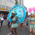 IMG_800035